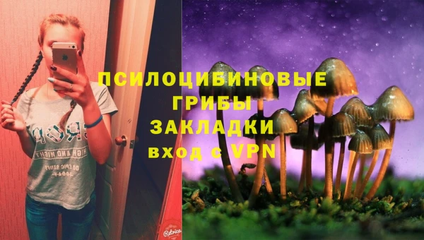 мяу мяу мука Абинск