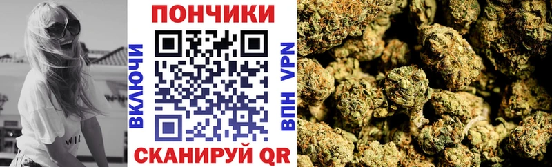 Бошки марихуана Amnesia  MEGA ССЫЛКА  Красавино 